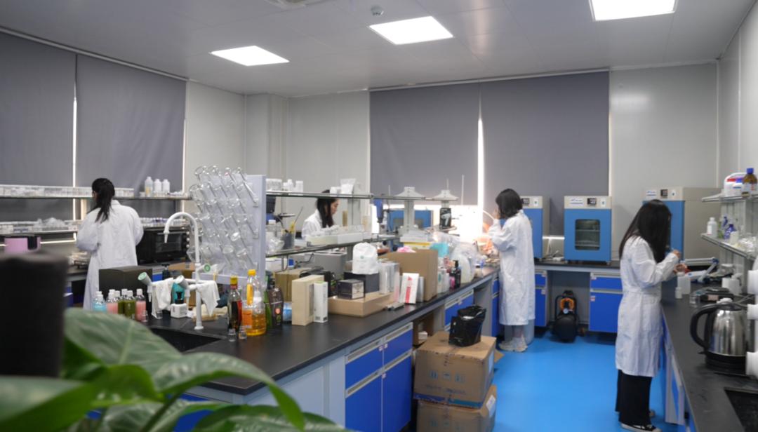 谁给辛巴下跪,谁和辛巴抗衡