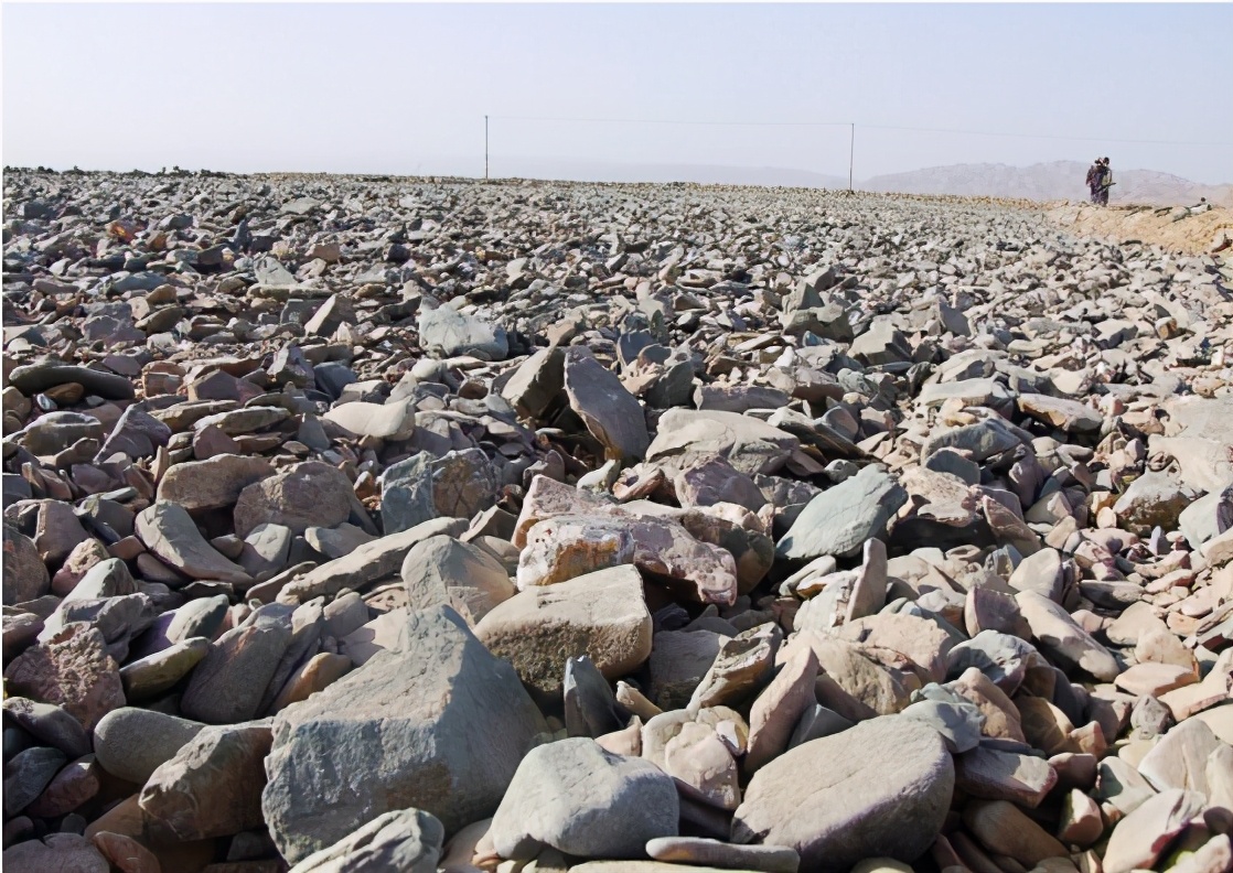 戈壁西瓜为何被禁止种植,戈壁西瓜为什么不能种