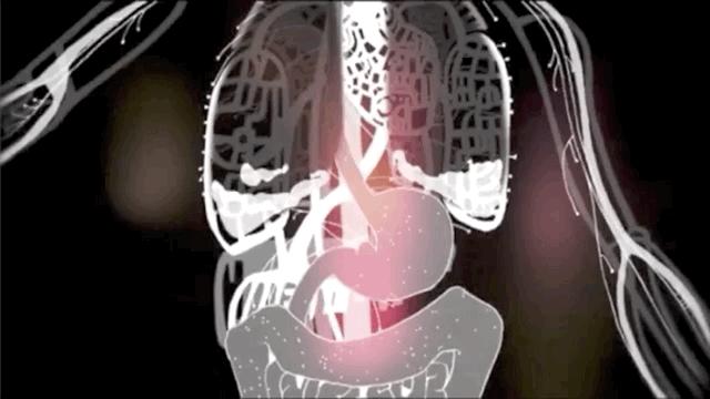 七种方法让你戒掉糖瘾,糖无处不在如何戒糖