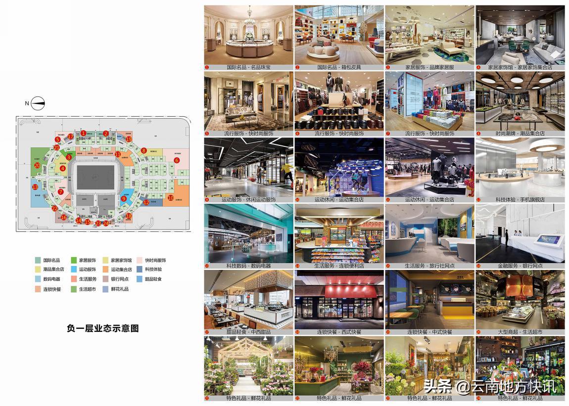 最美荷花盛开视频,最美荷花秀视频大全