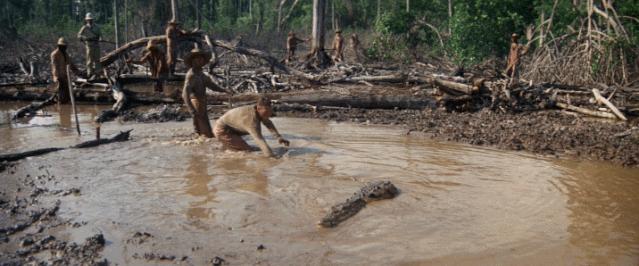 真实事件改编越狱电影的经典之作,十部根据真实事件改编的越狱电影
