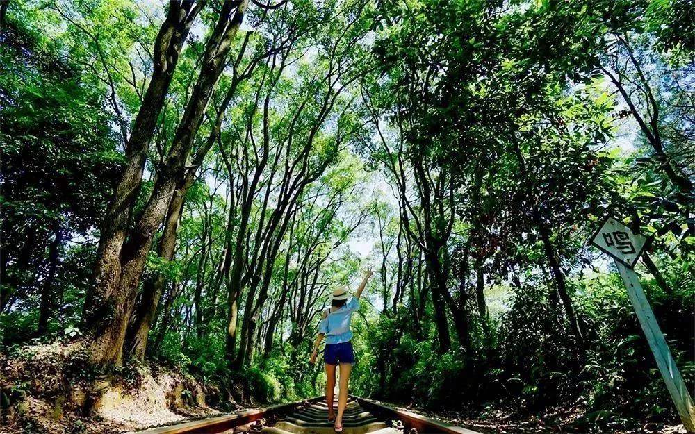 韶关碧桂园温泉酒店,韶关市碧桂园江山樾民宿