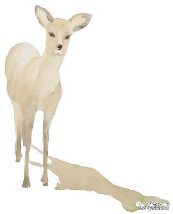 日系极简风ppt,日式极简风ppt