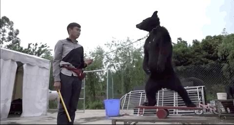 被铁链拴住的一生,被铁链绑住全身后逃脱