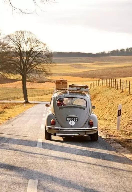 旅行中的男人和女人有什么不同,男人和女人旅行有什么区别