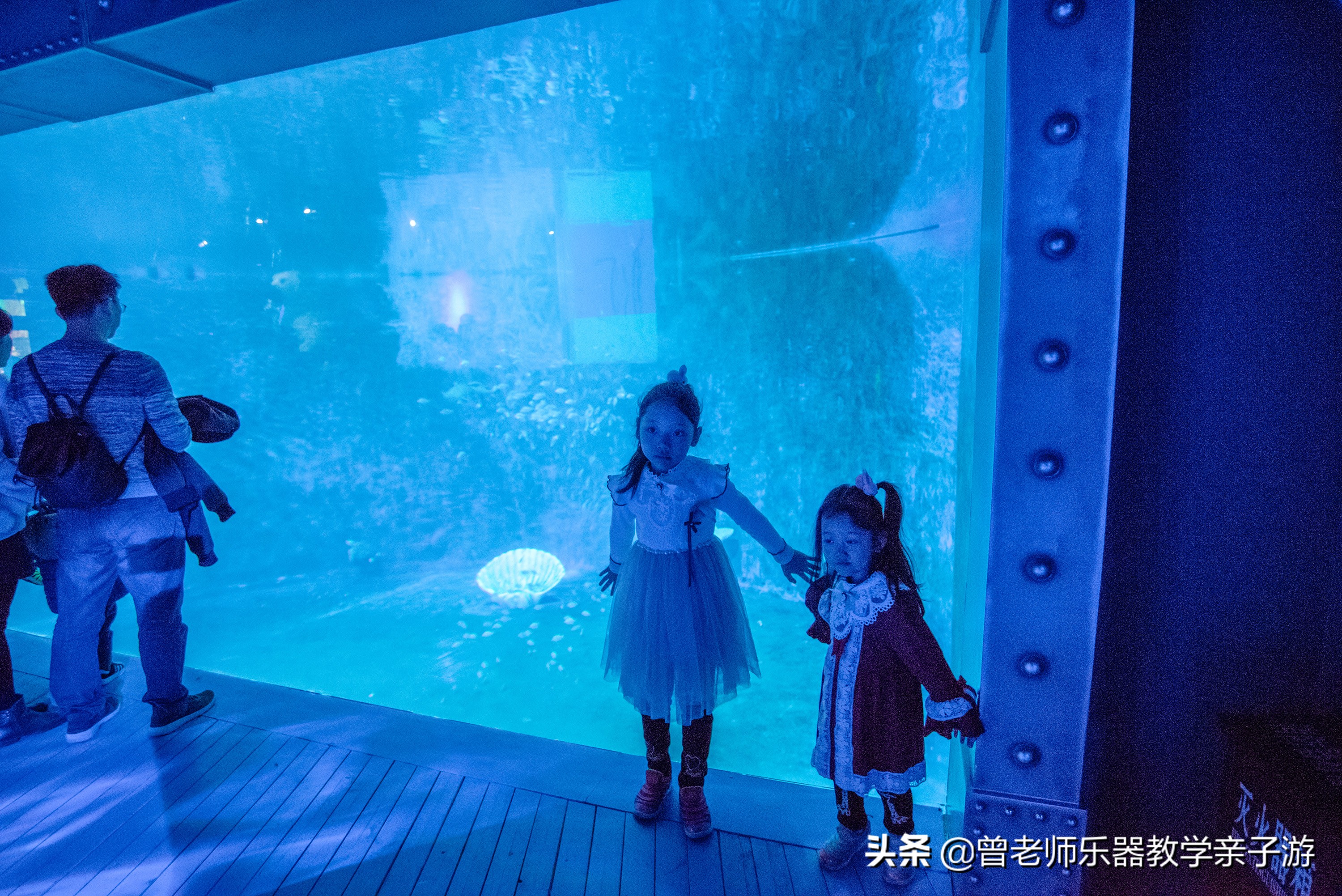 西安太奥海洋馆,西安极地海洋世界海豚表演