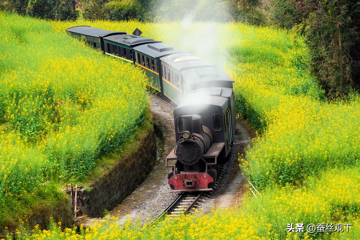 四川旅游攻略乐山,乐山旅游经济分析