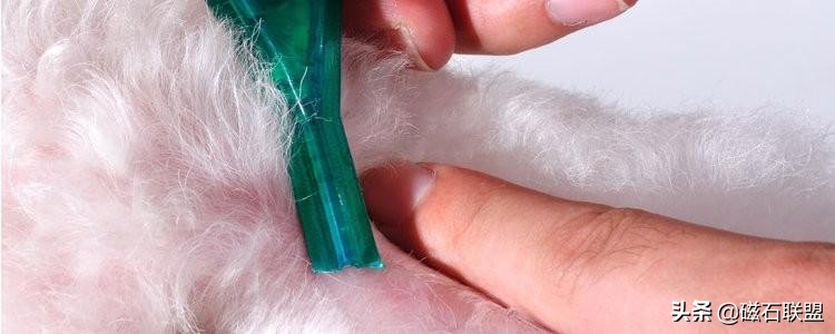 宠物生病怎么喂药呢视频,宠物生病给人吃什么药