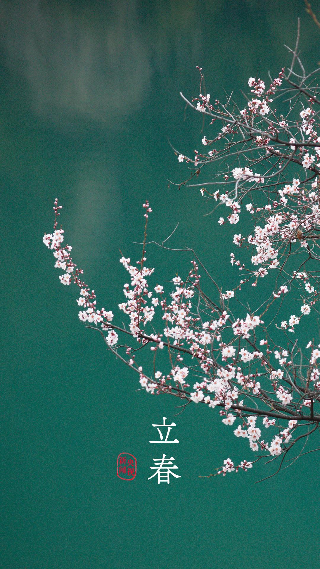 央视珍藏二十四节气手机壁纸,二十四节气壁纸手机超清全面屏