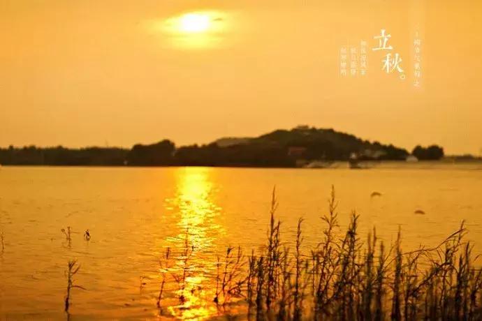 当代美诗都在此！和尚诗壁（76）回望当年牵手处，而今唯有落花新