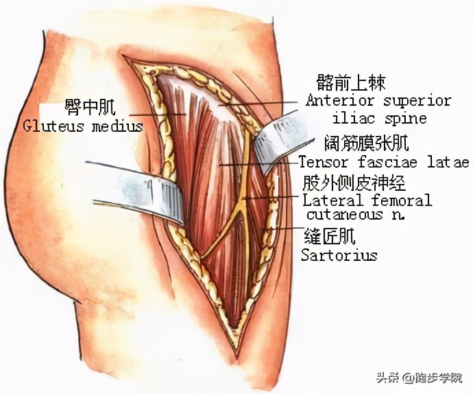 稍微运动浑身咔咔响,为什么运动的时候身体咔咔的响