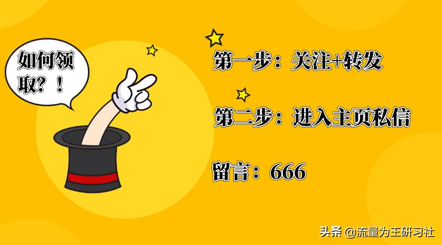 史玉柱亲笔写的脑白金策划方案