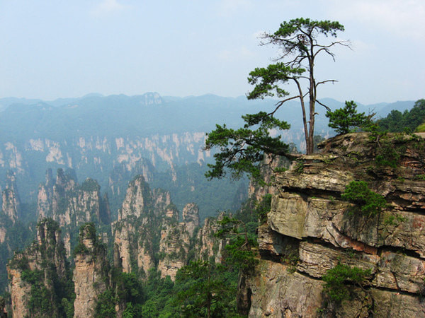 张家界天门山大自然鬼斧神工,到张家界天门山自由行攻略图片