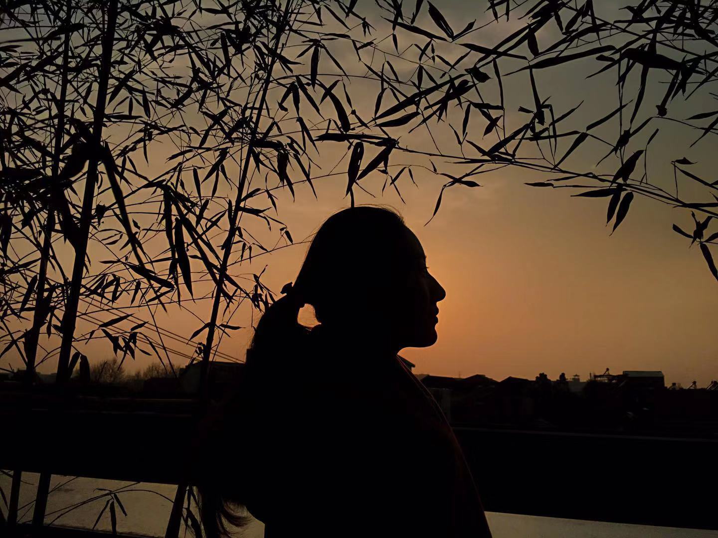 两位主治医生的选择——论两代人之间的代沟