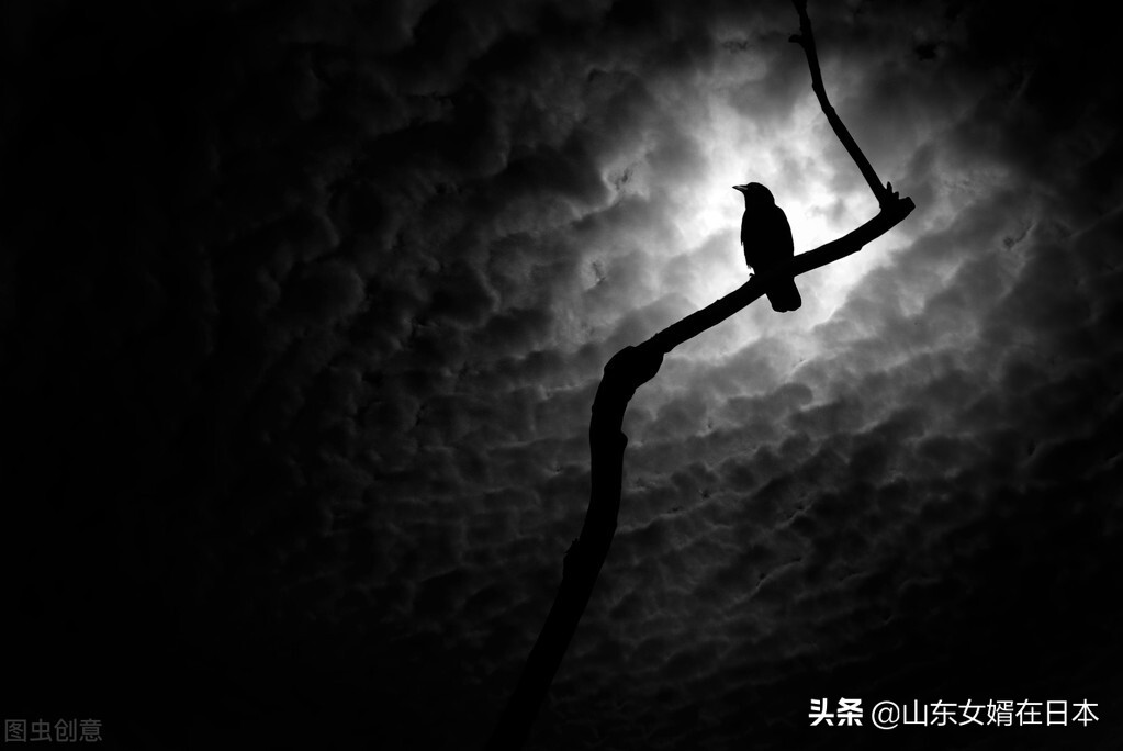 日本女画家画画,日本女画家的画