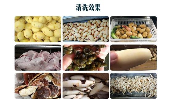 华菱土豆去皮机,安徽华菱土豆去皮机