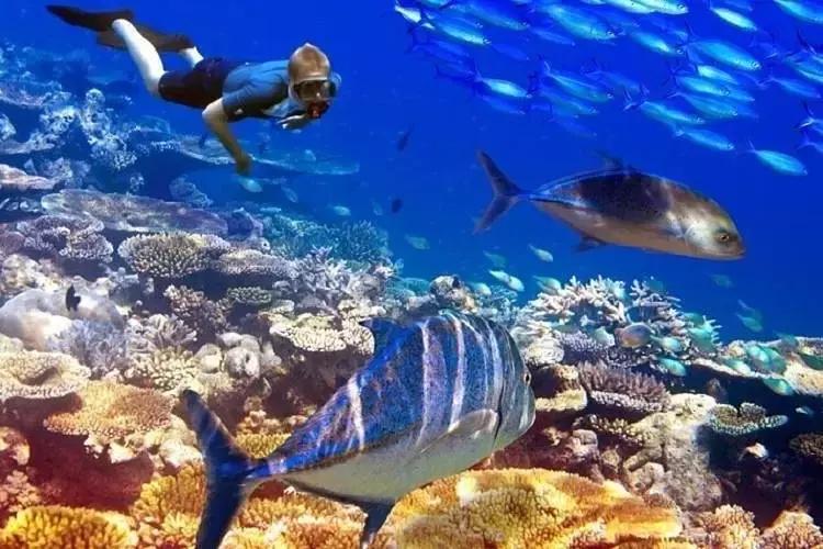 世界最美白沙滩之一长滩岛,最美长滩岛旅游攻略