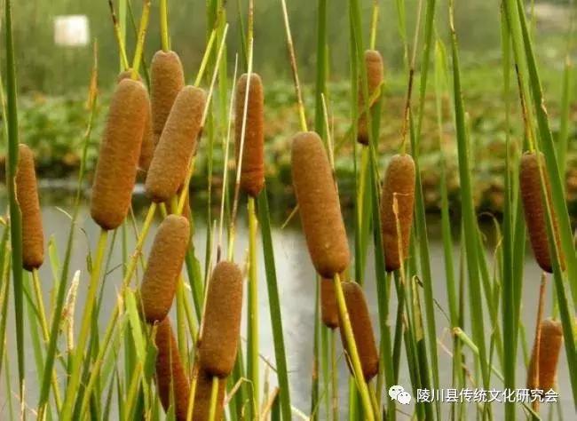 晋城陵川“蒲水”：这里是神仙住的地方