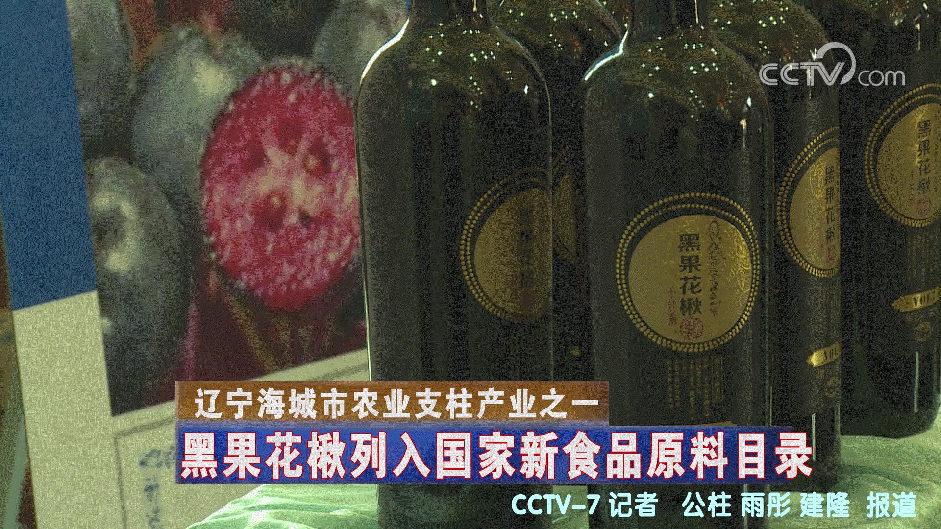 黑果花楸和蓝莓,黑果花楸和蓝莓有什么区别