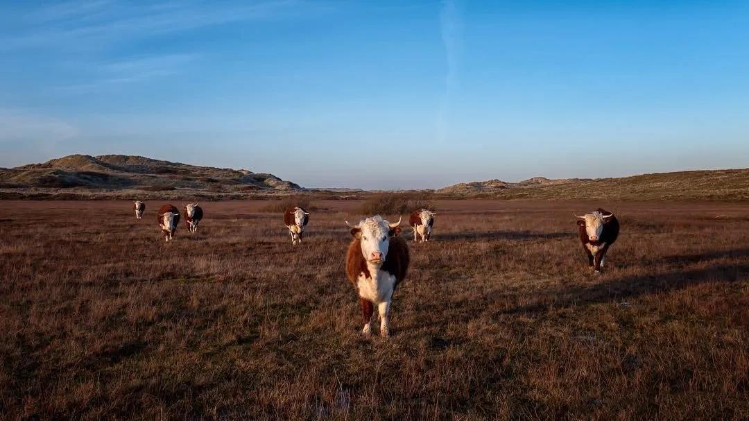 徕卡sl系统,徕卡sl入门
