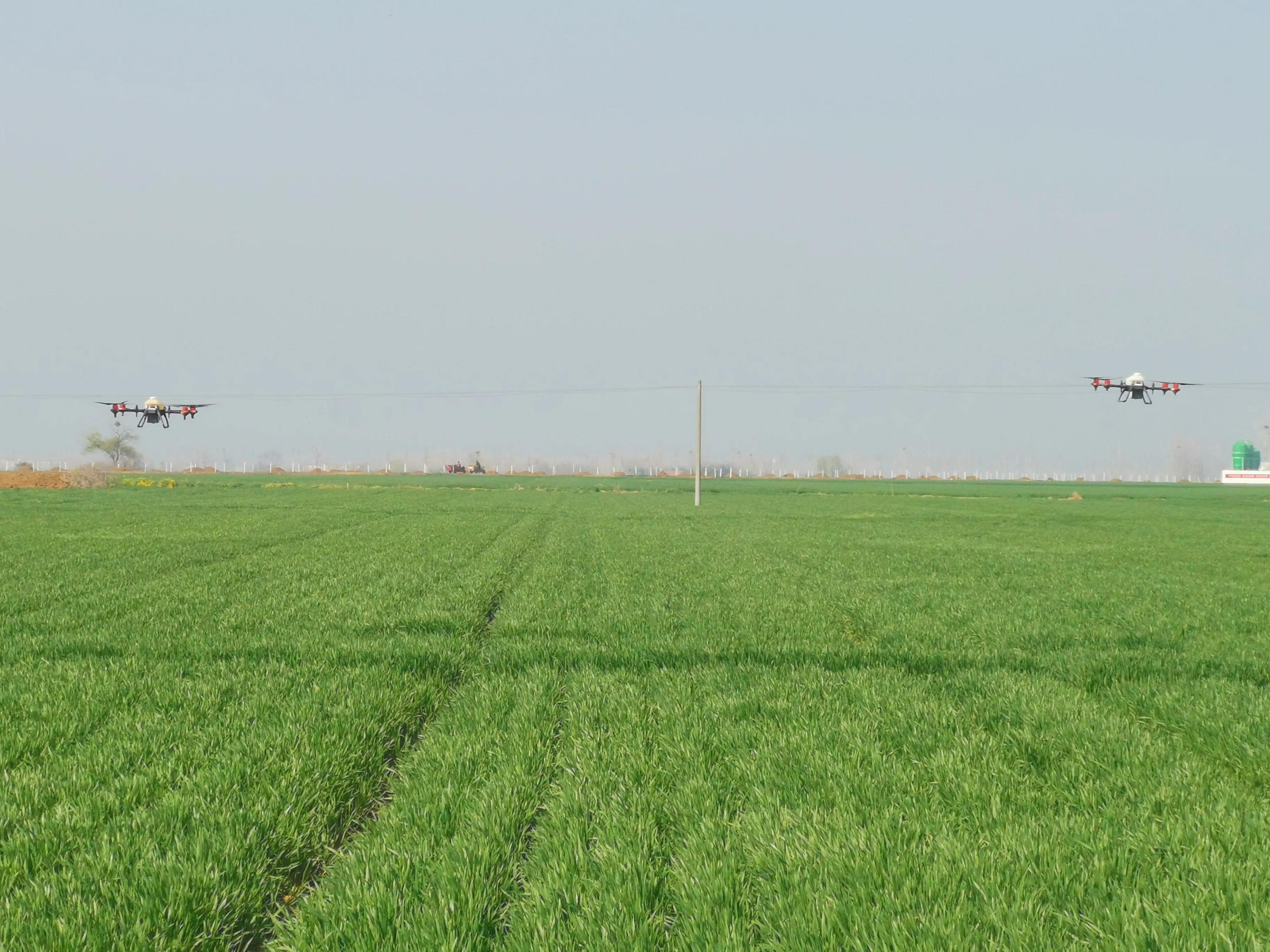 新时代新担当新作为湖北,枣阳产粮大县