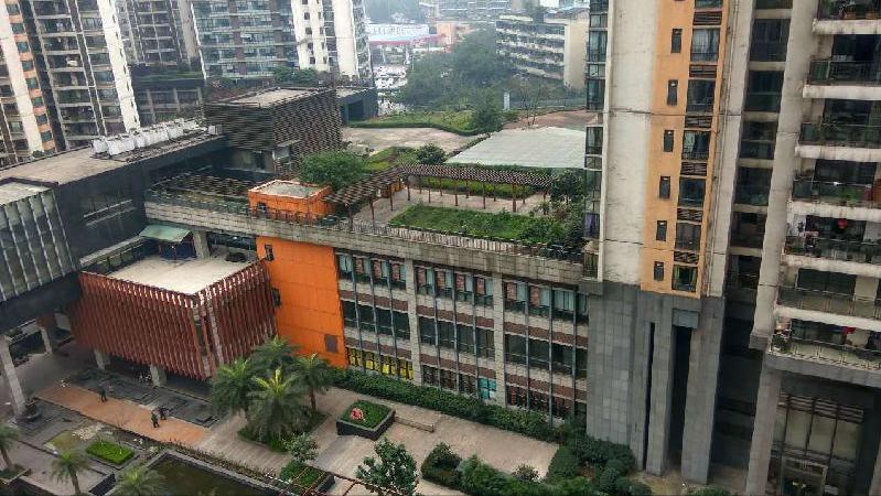 重庆有些小区里面全是麻将馆，天天扰民你们是怎么解决的？