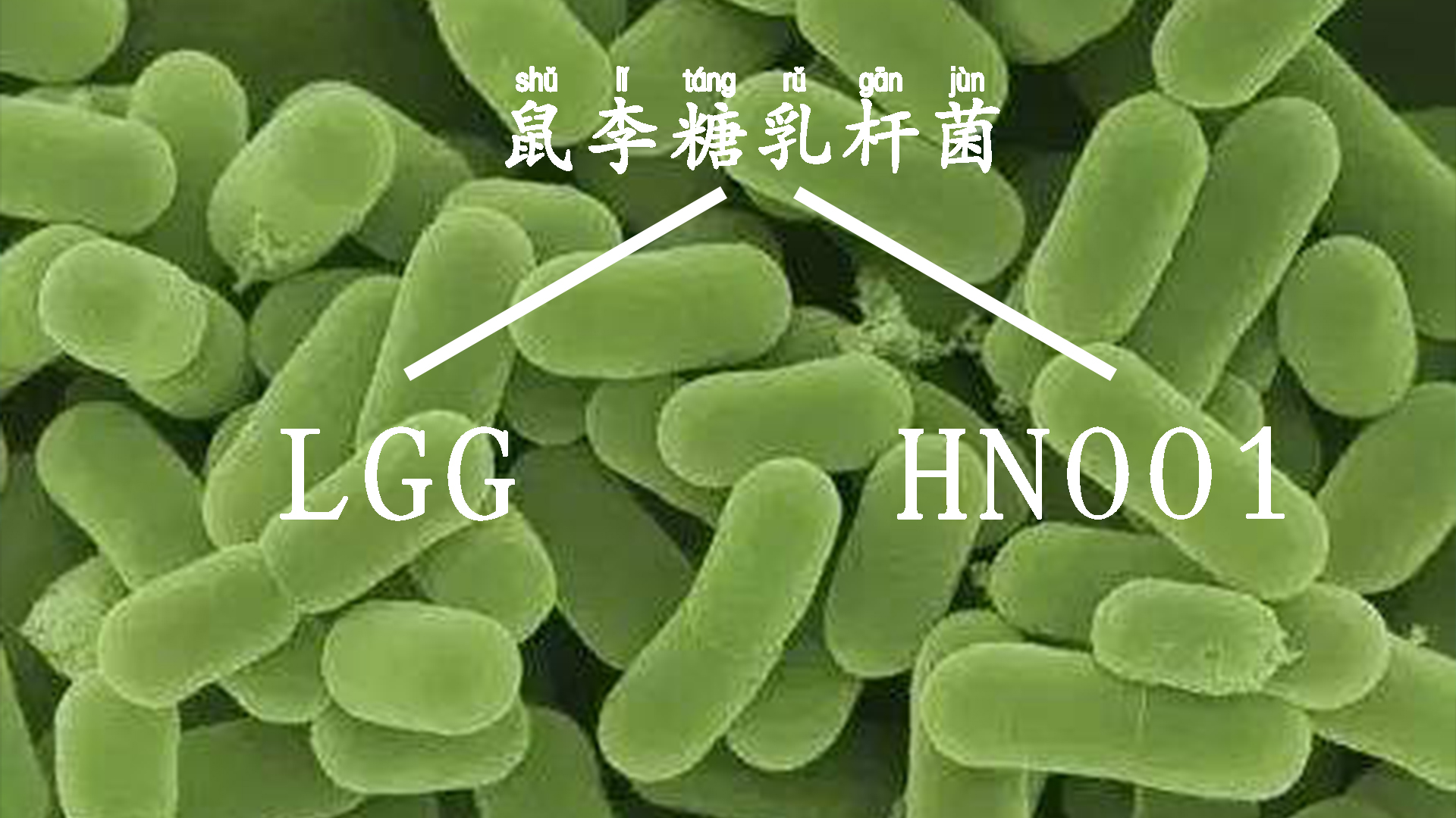 提高免疫力从宝宝抓起,给小孩提高抵抗力和免疫力