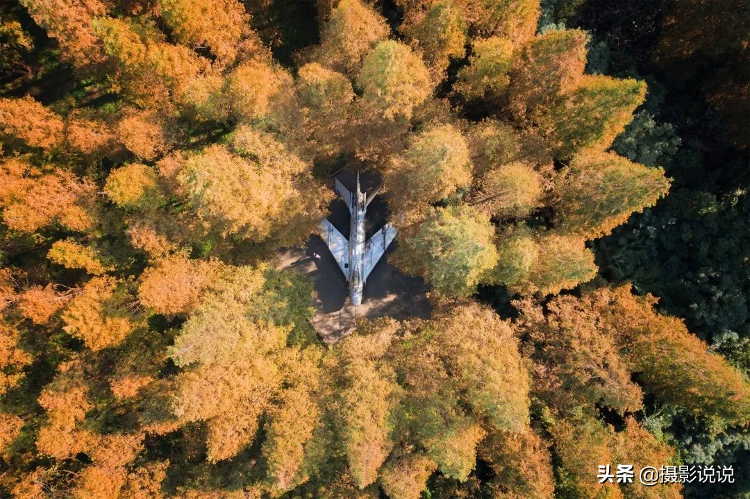 第39季醉美城市地标:维多利亚港、直沽桥、关山牧场、梅里雪山