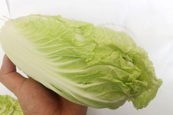 长时间没有排便,长时间没有尿的危害