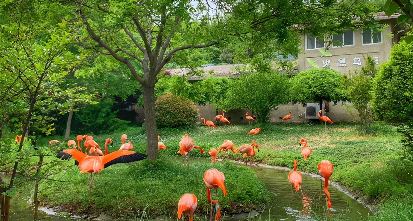 青岛最值得游玩五大景点,青岛最值得去的3个景点