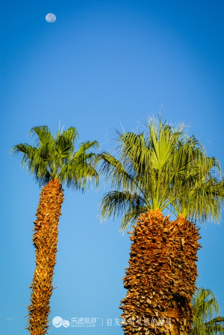 奥巴马卸任以后做什么工作,奥巴马卸任后做什么