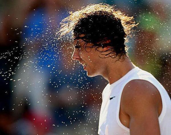 人类的体温为什么是37阅读,人类的体温为什么是37呢