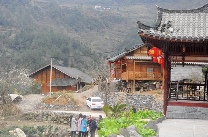 春到茶山好风光,春到安宁景醉人