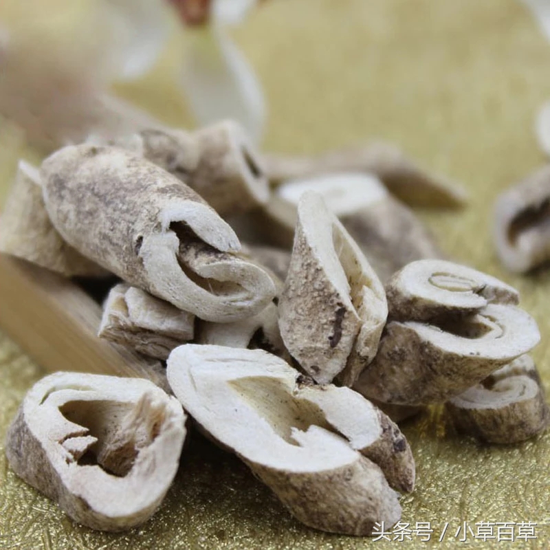 皮肤瘙痒用什么中草药能洗,治疗皮肤瘙痒的中草药有哪些