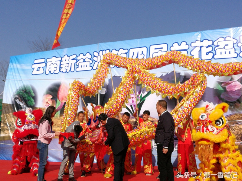 2018年昆明兰花展精品图片,云南兰花展作品欣赏