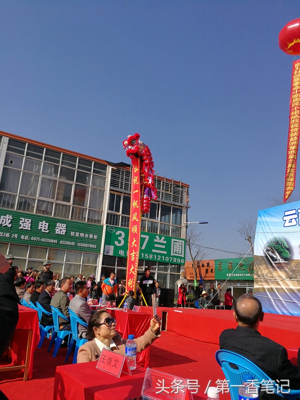 2018年昆明兰花展精品图片,云南兰花展作品欣赏