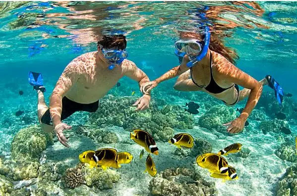 越南芽庄旅行感悟,越南芽庄旅行的感觉