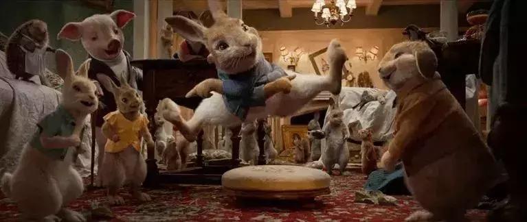 看完比得兔我们能感受到什么变化,看比得兔你学到了什么