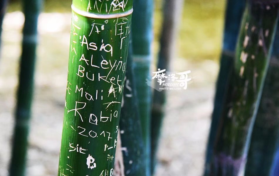 走进摩洛哥,摩洛哥旅游马拉喀什游记