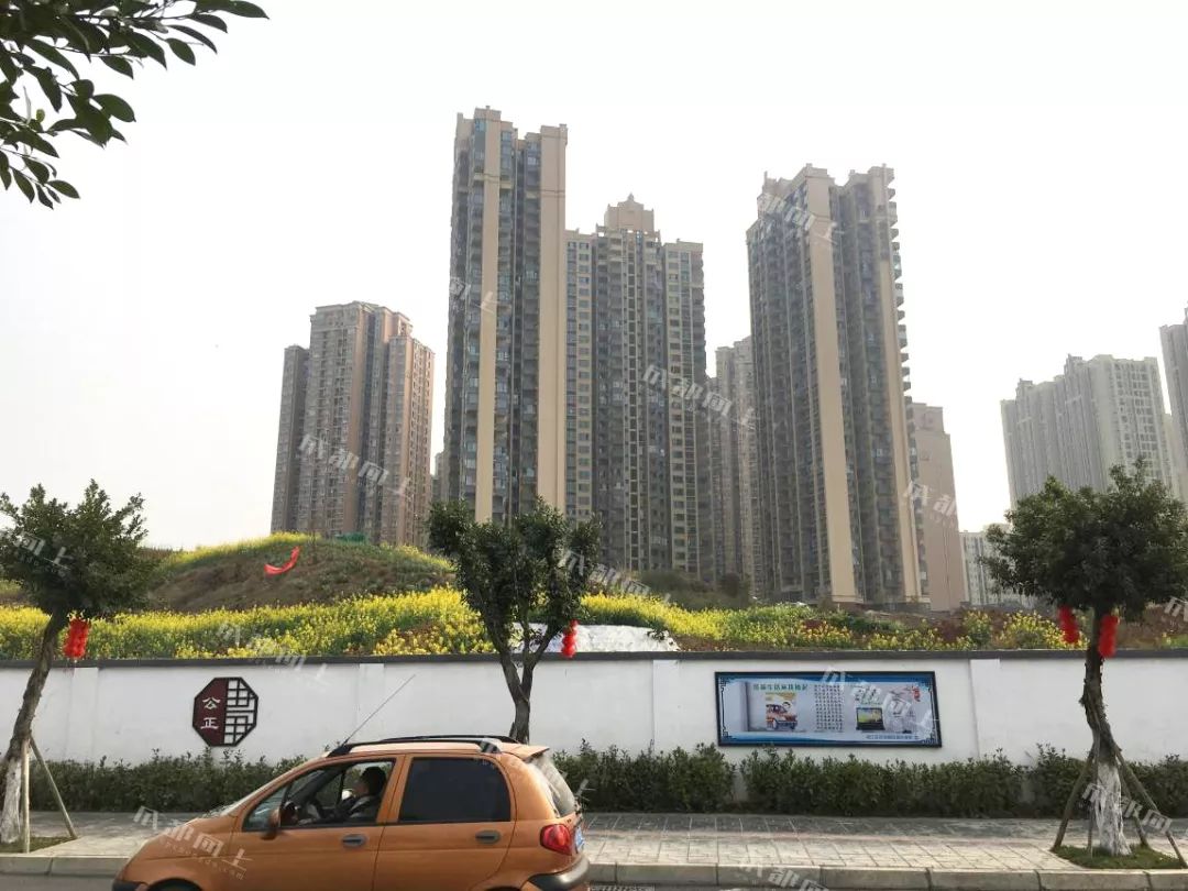 锦江区的核心地段，没想到现在是这样