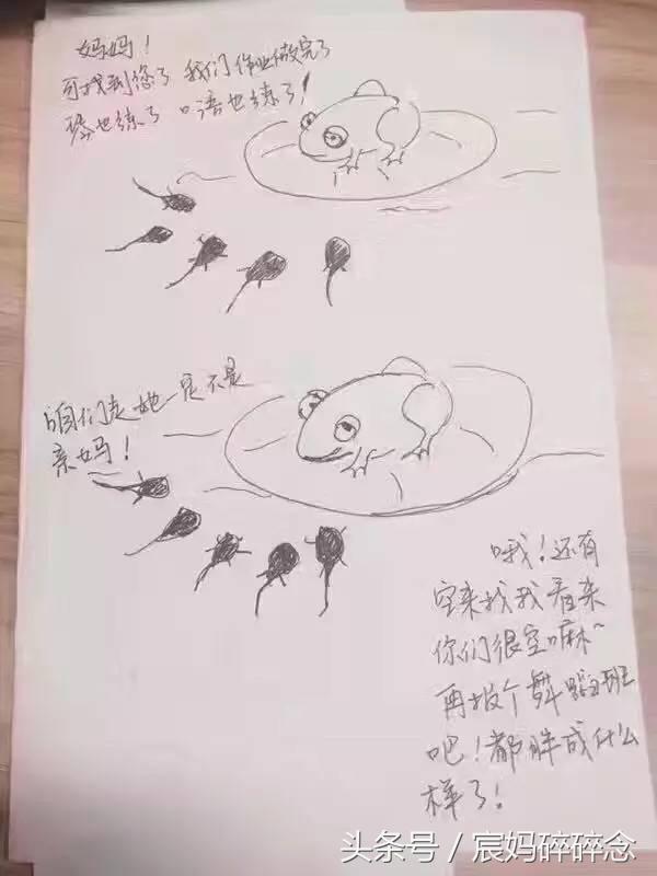 教孩子写作业亲妈秒变后妈,教写作业亲妈变后妈