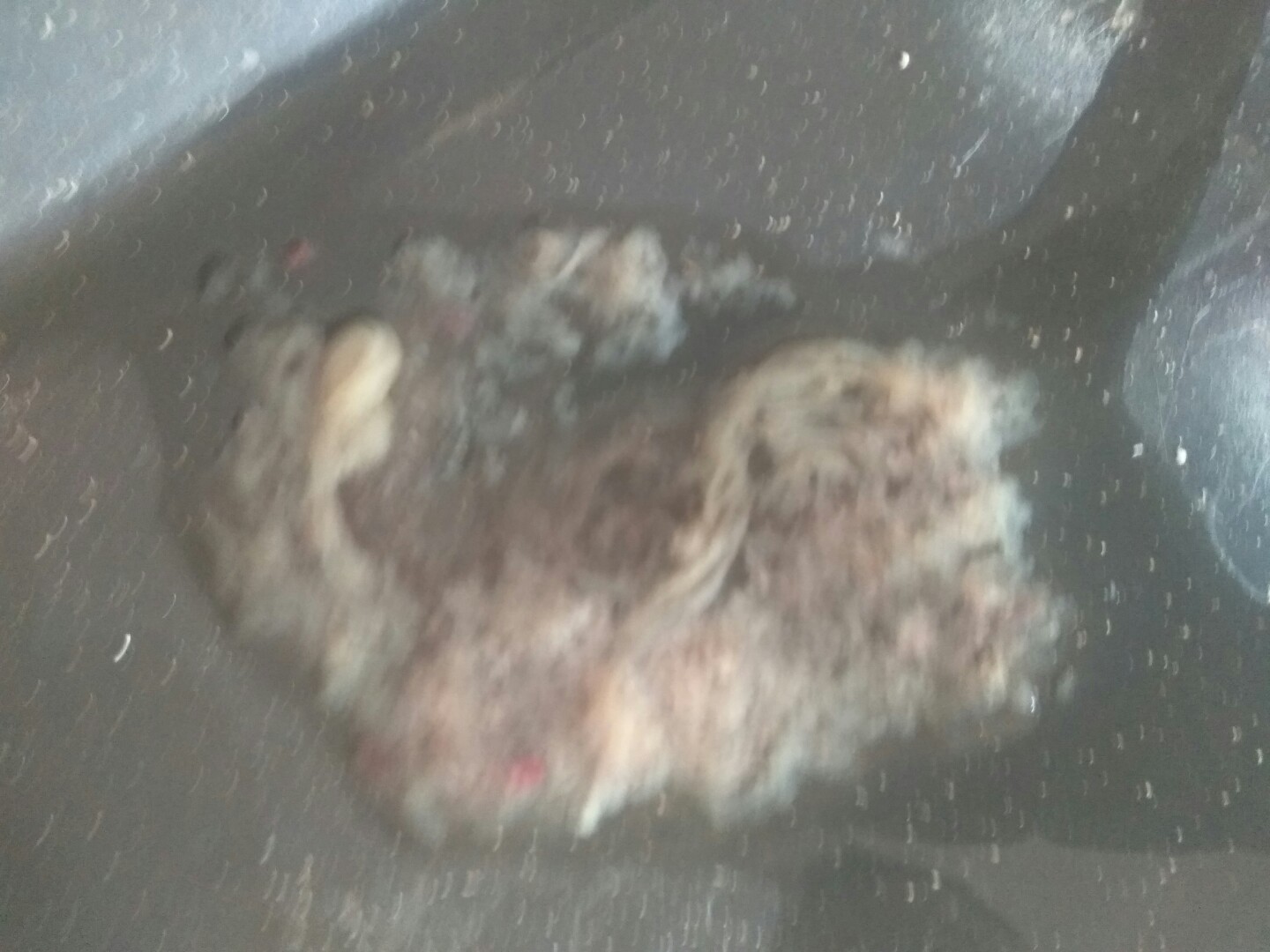 犬细小病毒治疗简单方法,犬细小病毒治疗后期康复