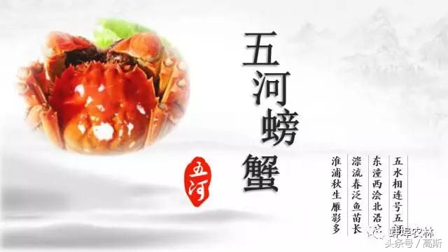 蚌埠日报的版面,蚌埠日报