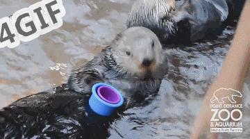 治好了我多年萝莉控技巧高超的内涵动态图