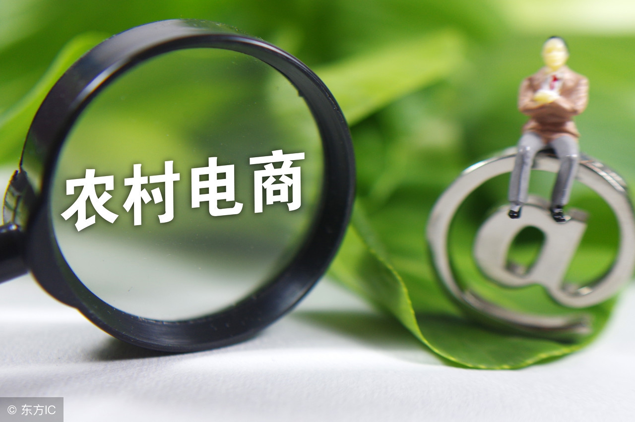 大米销售电商平台如何建立 (大米垂直电商生意)