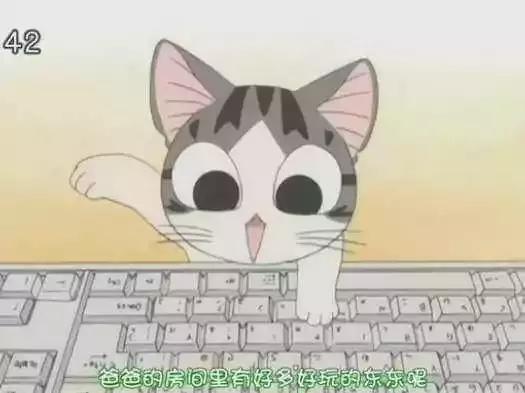 感觉自己养了一只猫是假猫 (你会觉得自己养了一只假猫吗)