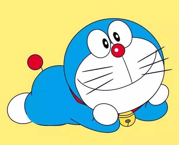 感觉自己养了一只猫是假猫 (你会觉得自己养了一只假猫吗)