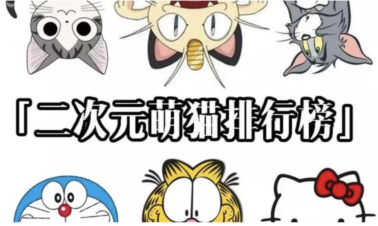 感觉自己养了一只猫是假猫 (你会觉得自己养了一只假猫吗)