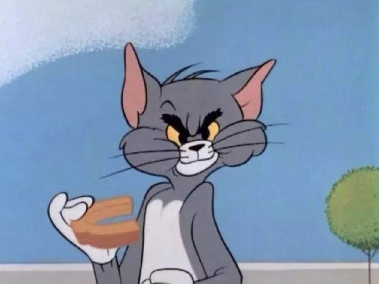 感觉自己养了一只猫是假猫 (你会觉得自己养了一只假猫吗)