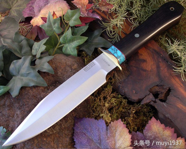 闯荡江湖需要哪些本事,闯荡江湖最重要的是什么